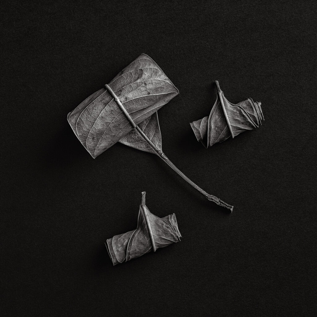 Dead Nature Scrolls #10