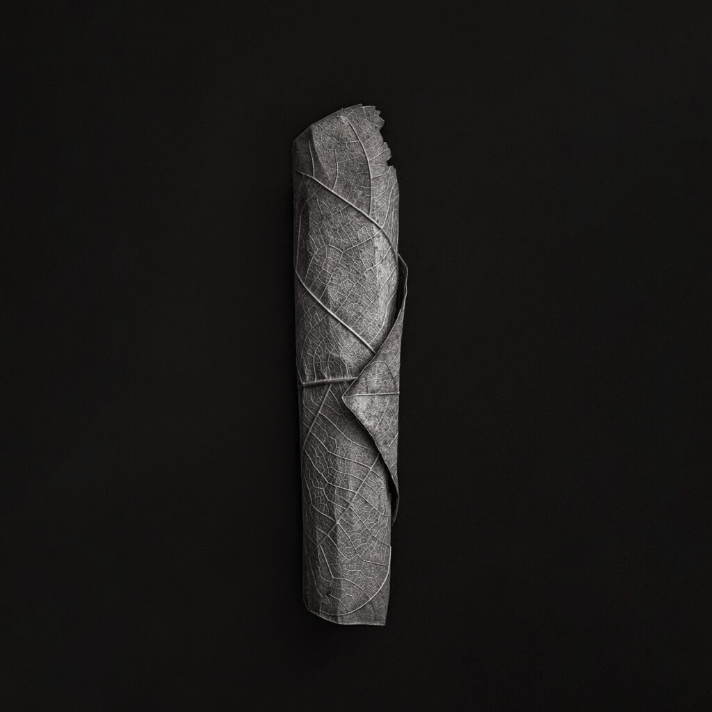 Dead Nature Scrolls #6