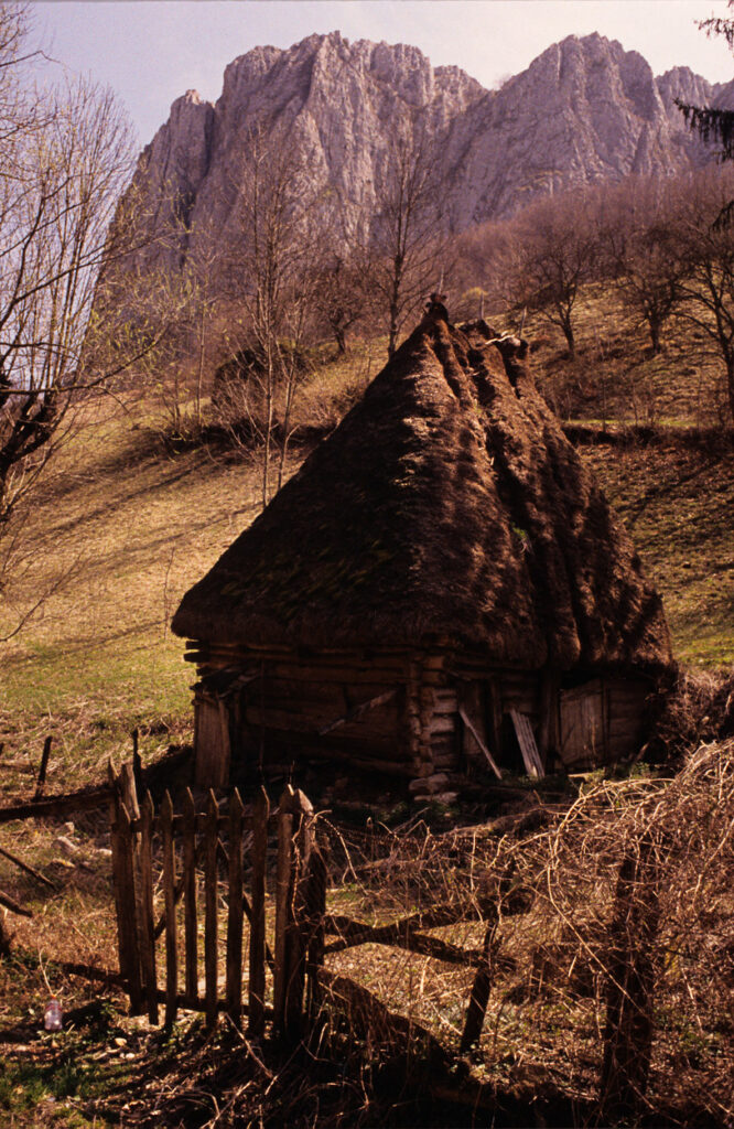 Life in the Carpathians, Romania #7
