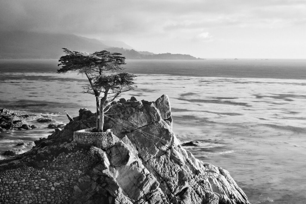 'Lonely' Cypress, Carmel, California