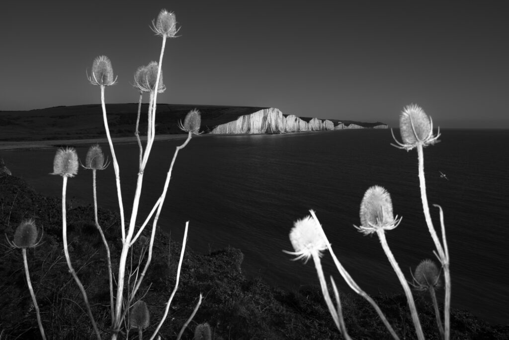 Seven Sisters Cliffs seen from Seven sisters Country Park