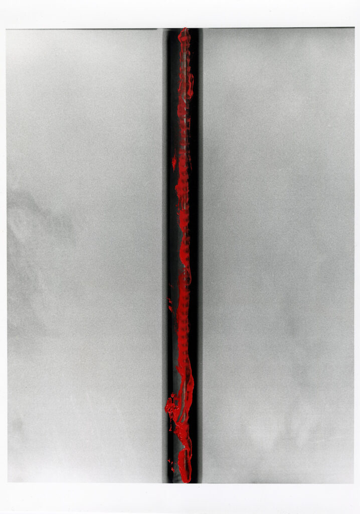 Red Spine 02 Eternity (Spatial Concept)