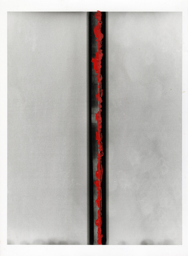 Red Spine 03 Eternity (Spatial Concept)