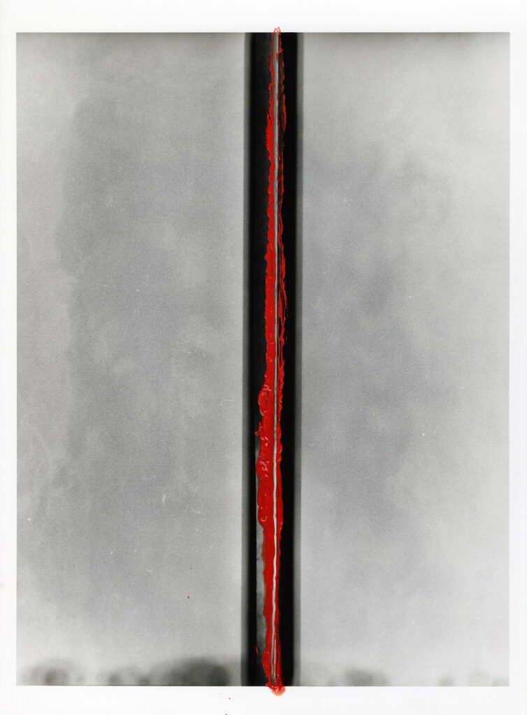 Red Spine 04 Eternity (Spatial Concept)