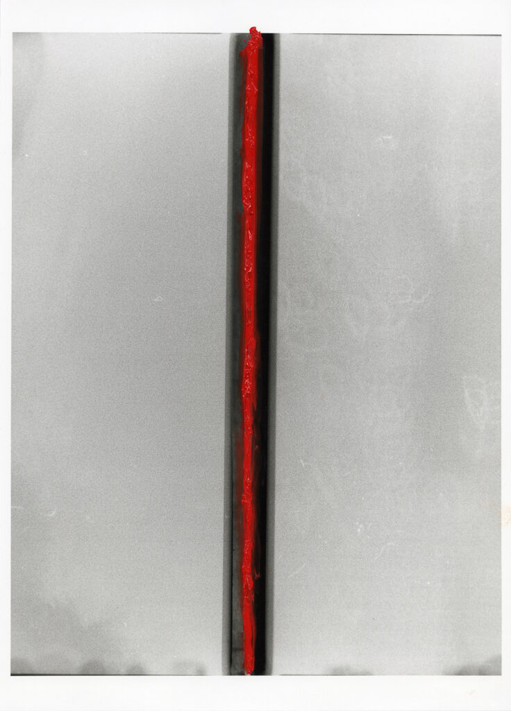 Red Spine 01 Eternity (Spatial Concept)