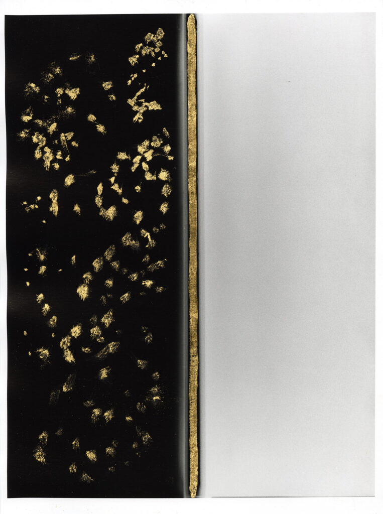 Gold Spine  II