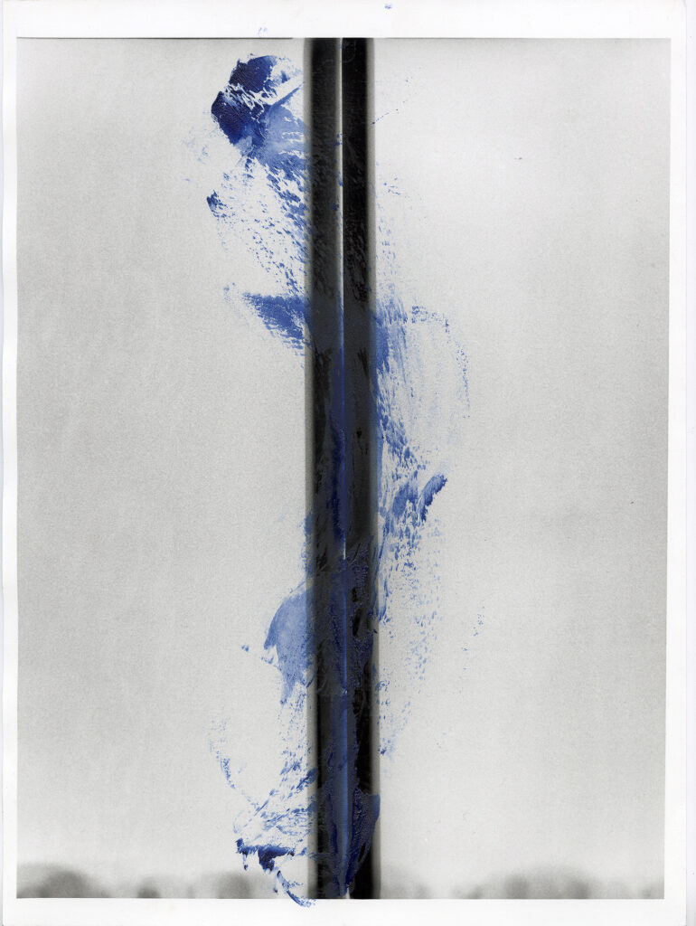 Blue Spine  II