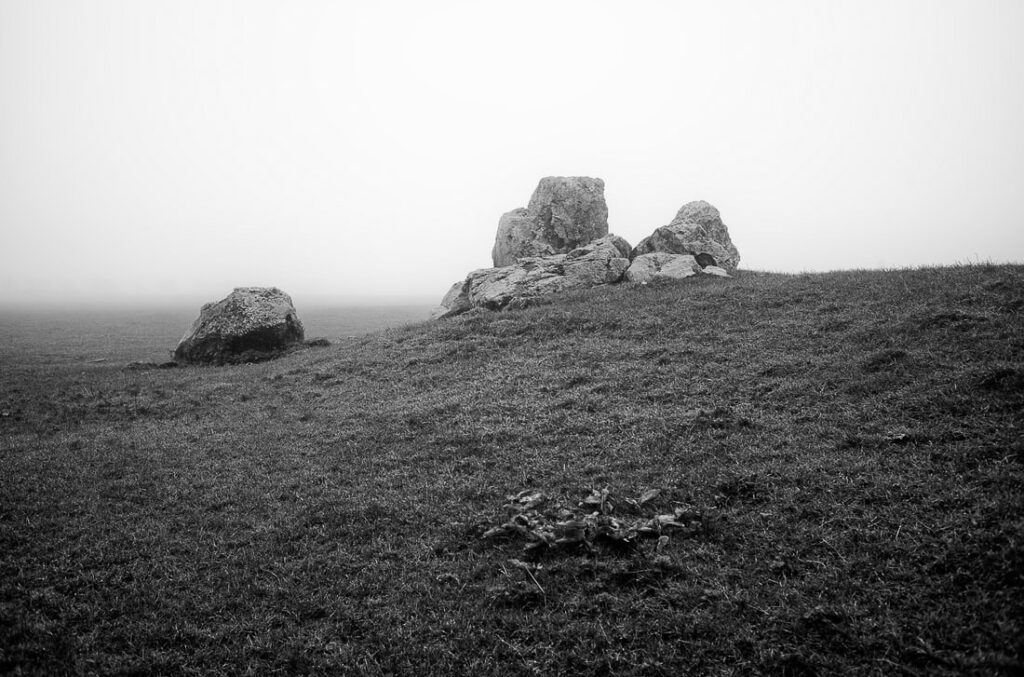 Neolithic Dorset #5
