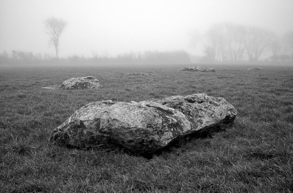 Neolithic Dorset #2