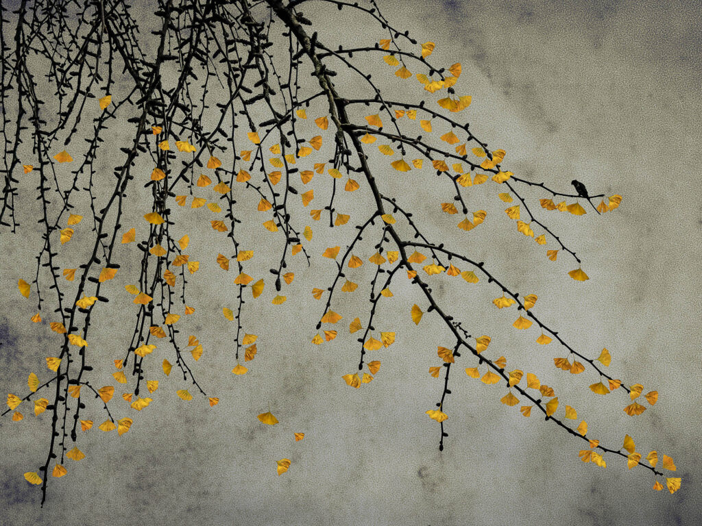 The Last Bird Song #11