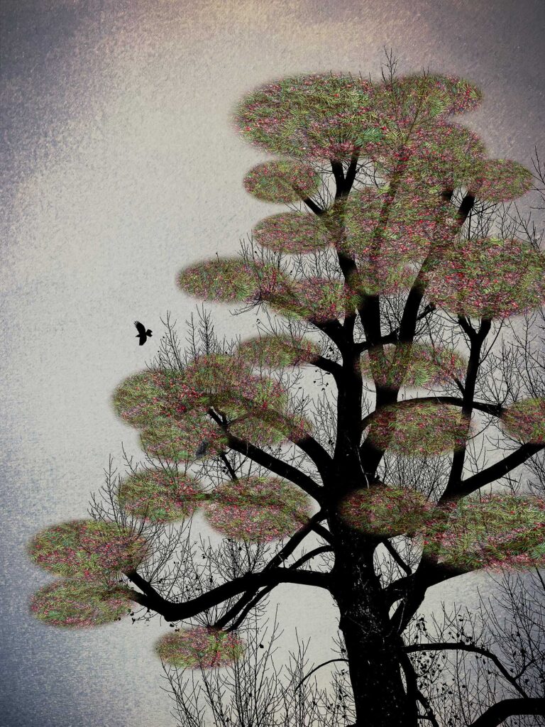 The Last Bird Song #4