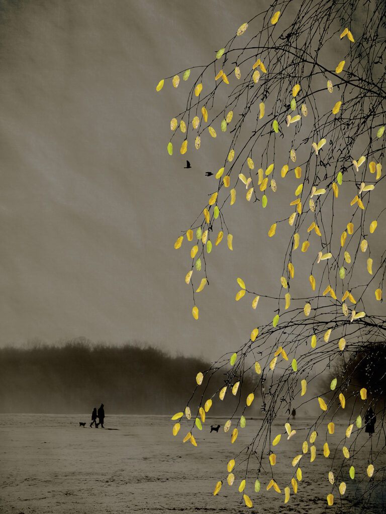 The Last Bird Song #6