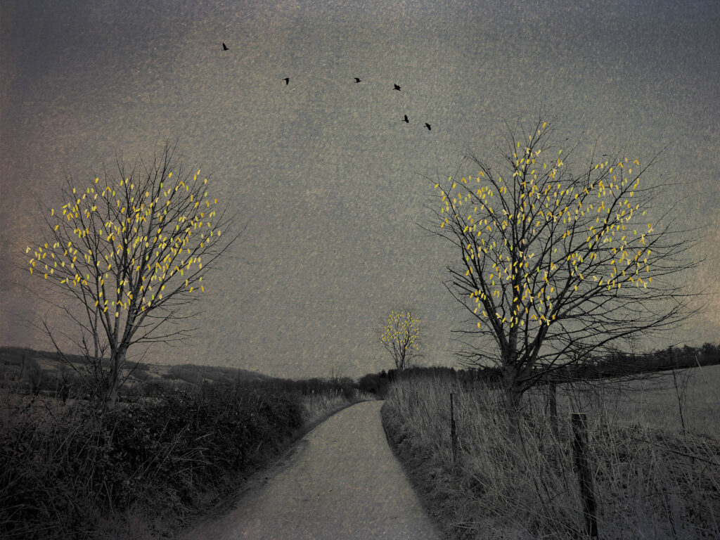 The Last Bird Song #7