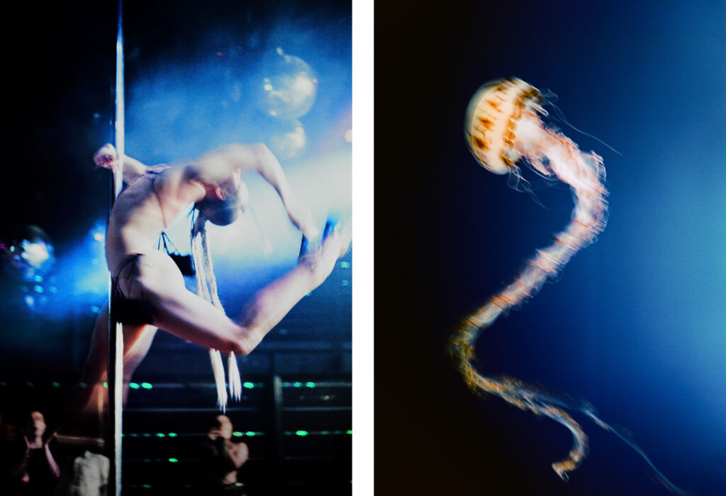 Propulsion 13 - Ocean Blue & Purple-Striped Sea Nettle