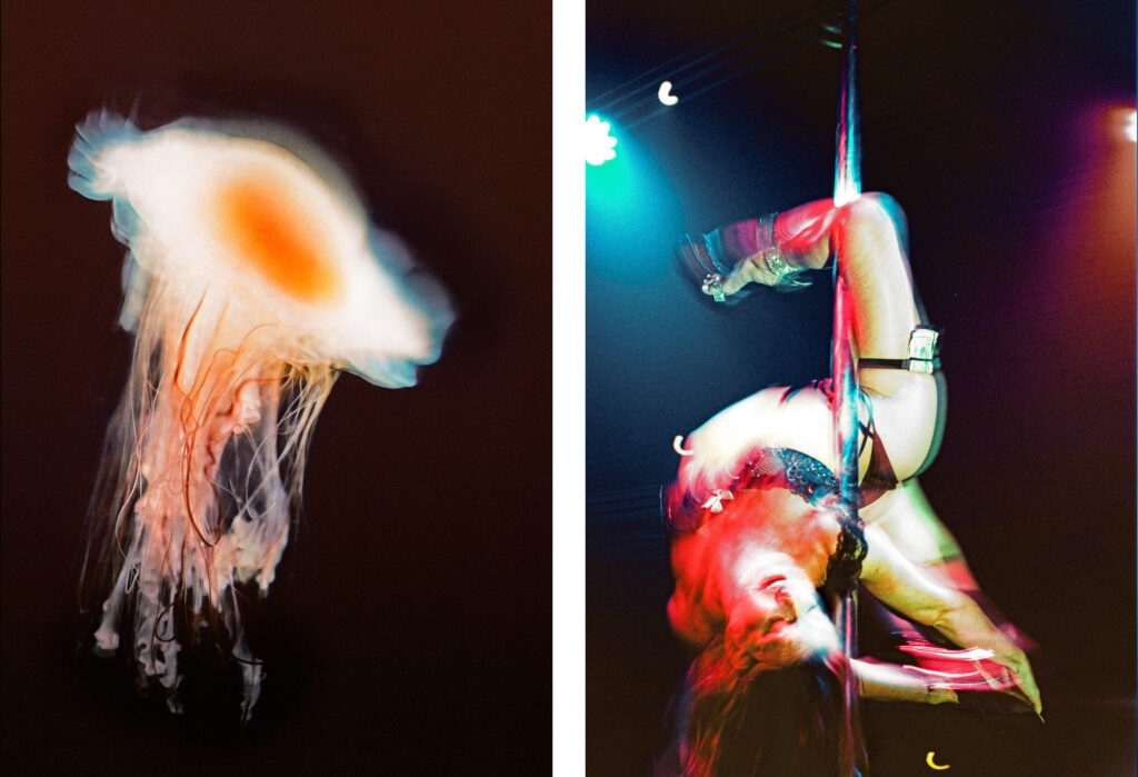 Propulsion 15 - Lion’s Mane Jellyfish & Claudia Ross