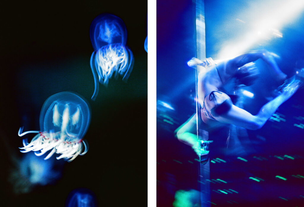 Propulsion 19 - Red-Eyed Medusa & Flying, Sapphire Blue