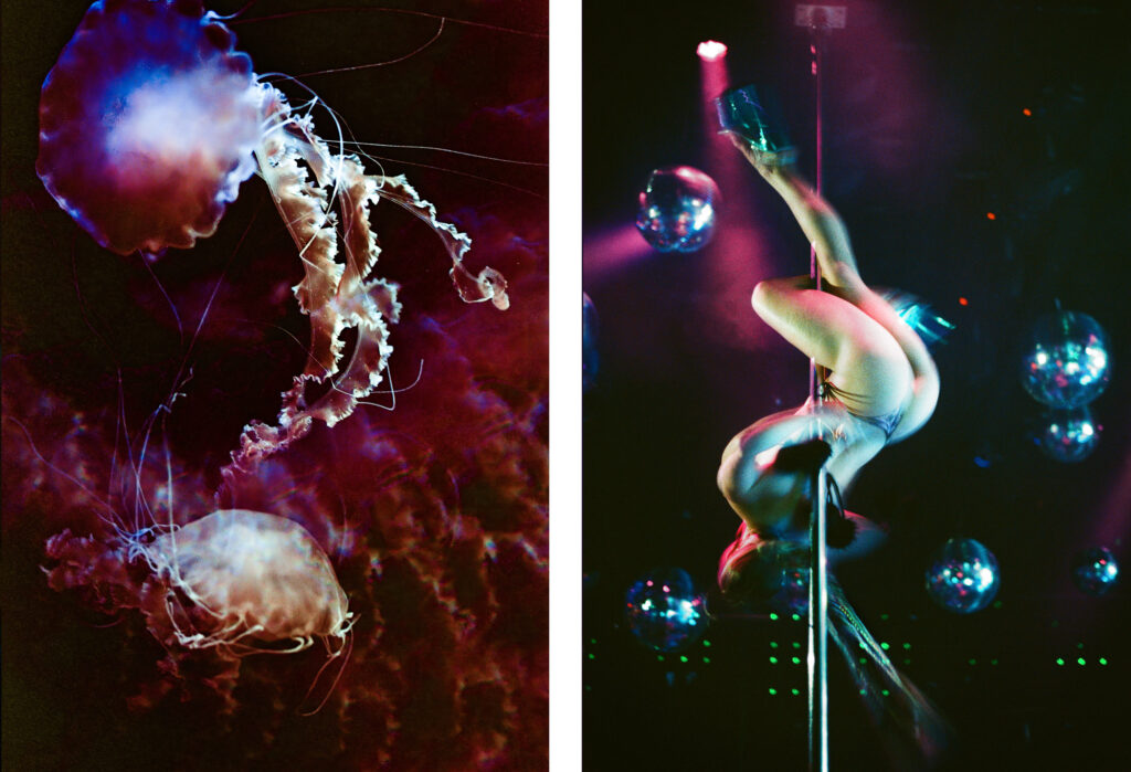 Propulsion 20 - Sea Nettle, Crimson & Inverted Spin