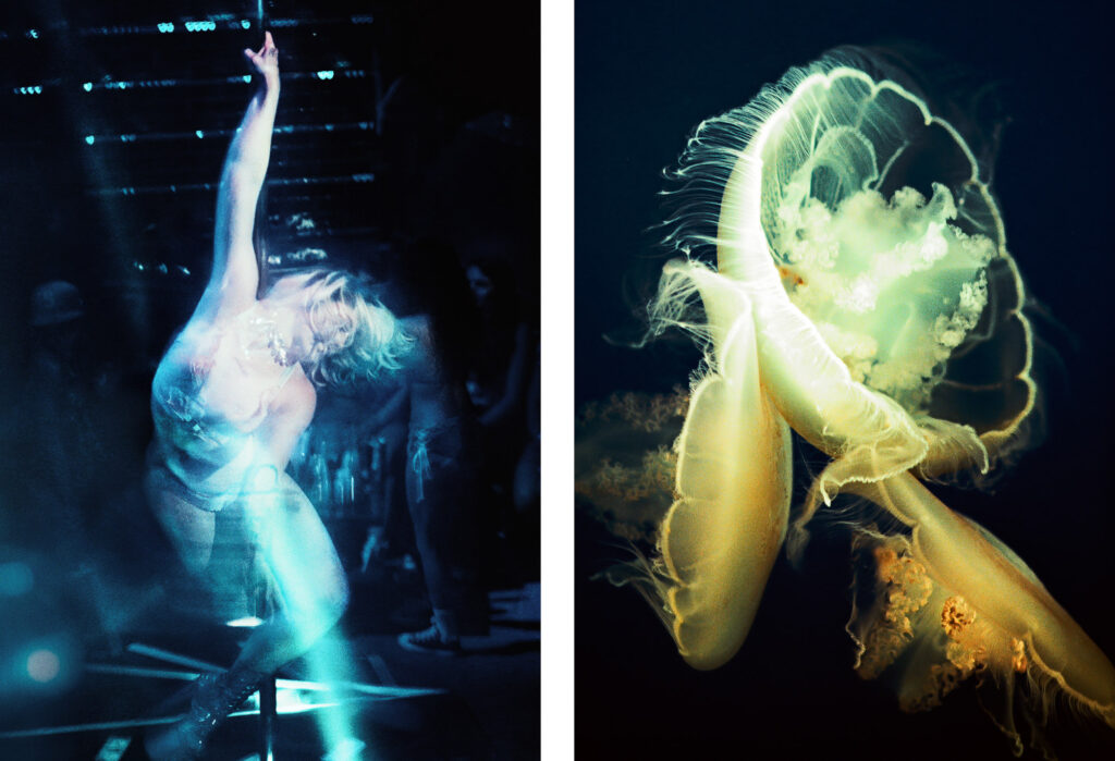 Propulsion 4 - Icy Blue & Three Moon Jellyfish