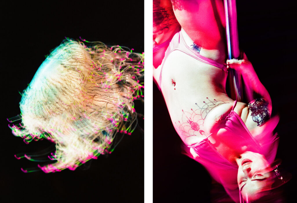 Propulsion 17 - Flower Hat Jellyfish , Pale Cyan & Lilith, Shocking Pink