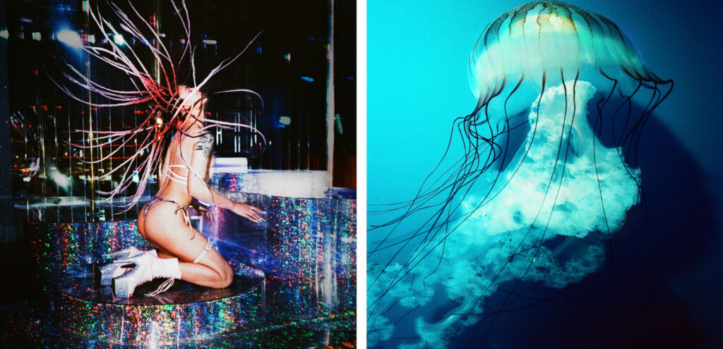 Propulsion 6 - Sakura, Metallic White &  Pacific Sea Nettle, Aqua