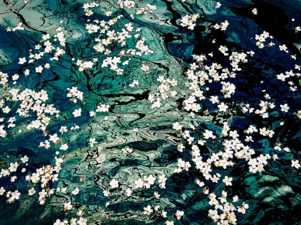 Bountiful Blossoms