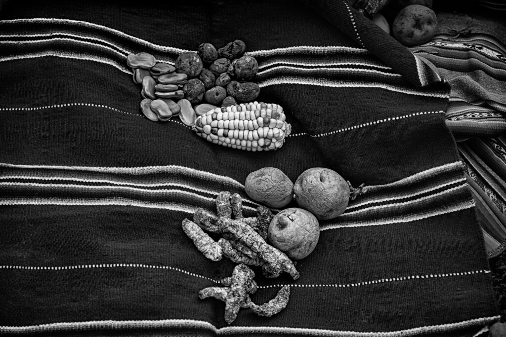 Andean Offering